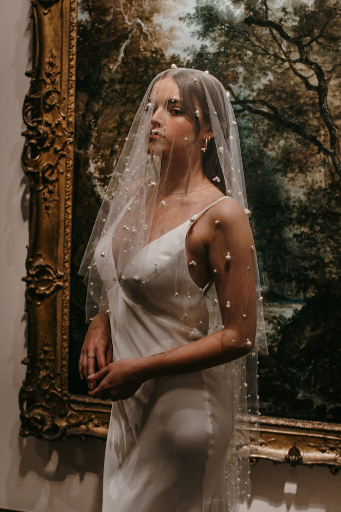 bridal portraits with veil